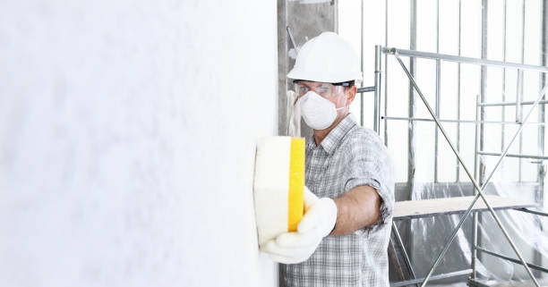 Best Asbestos and Lead Testing During Mold Inspection  in Kenosha, WI