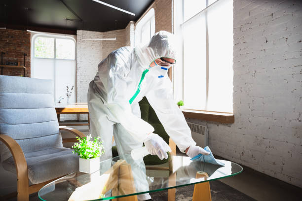 Best Commercial Mold Inspection  in Kenosha, WI